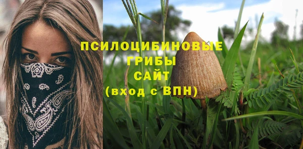 apvp Алексин