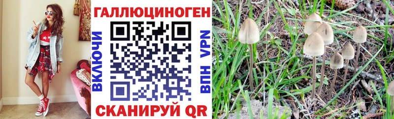 Галлюциногенные грибы MAGIC MUSHROOMS  кракен маркетплейс  Борзя  купить  сайты 